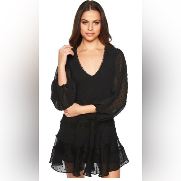 Bardot Mae Mesh Lace & Swiss Dot Long Sleeve Fit & Flare Mini Dress - Picture 1 of 8